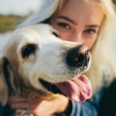 Du und Dein Hund – Training und Beziehung
