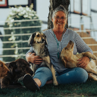 Online-Seminar: Erfolgreich eine Hundepension führen