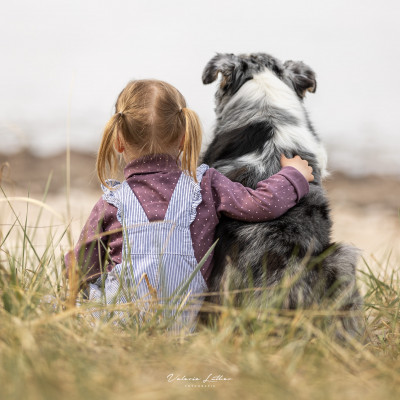 Online-Seminar: Kind & Hund für Hundetrainer