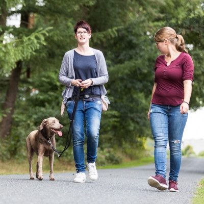 Praxis- und Orientierungstag Hundetrainer