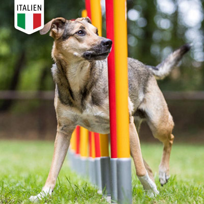 Agility-Seminar für Anfänger