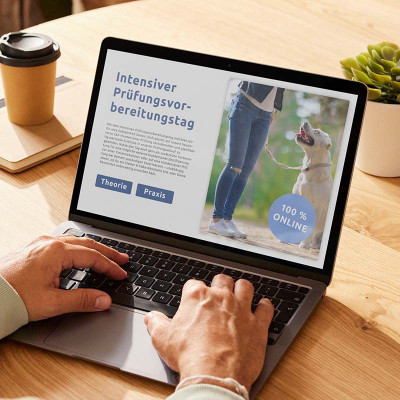 Online-Prüfungsvorbereitungstag