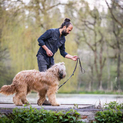 Der zugewandte Hund - Auffrischungs-Workshop